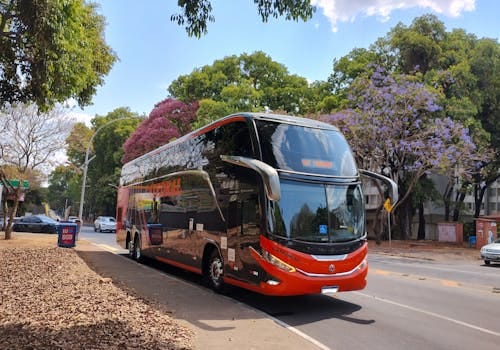 Hop-on Hop-off busstur