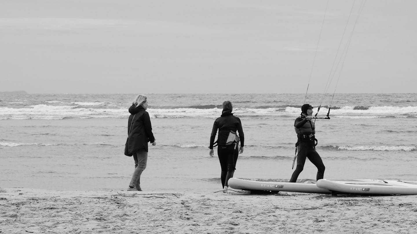 Quokka på Rottnest Island utanför Perth